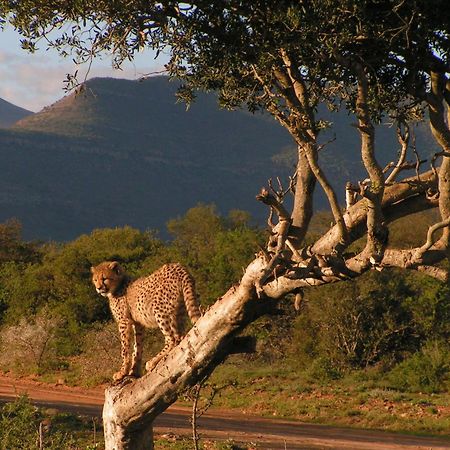 Samara Karoo Reserve Graaff-Reinet 외부 사진