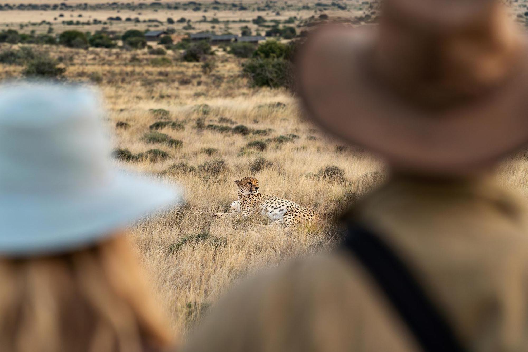 Samara Karoo Reserve Graaff-Reinet 외부 사진